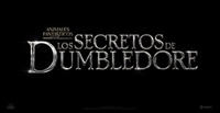 Fantastic Beasts: The Secrets of Dumbledore kids t-shirt #1812488