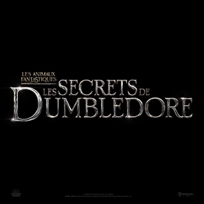 Fantastic Beasts: The Secrets of Dumbledore pillow
