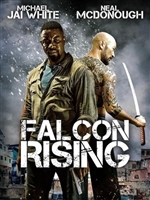 Falcon Rising  magic mug #