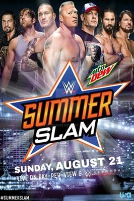 WWE Summerslam Metal Framed Poster
