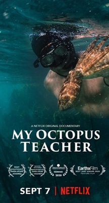 My Octopus Teacher Wooden Framed Poster