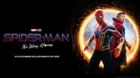 Spider-Man: No Way Home movie poster