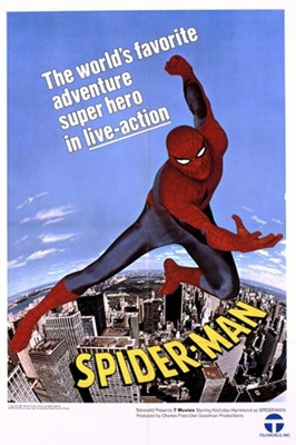 &quot;The Amazing Spider-Man&quot; Metal Framed Poster