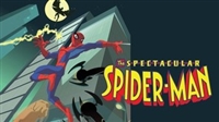 &quot;The Spectacular Spider-Man&quot; Sweatshirt #1827138