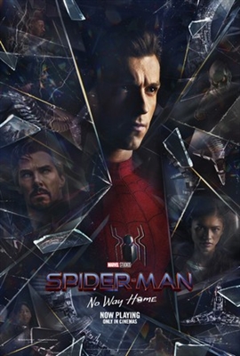 Spider-Man: No Way Home Poster 1828840