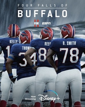 &quot;30 for 30&quot; The Four Falls of Buffalo pillow