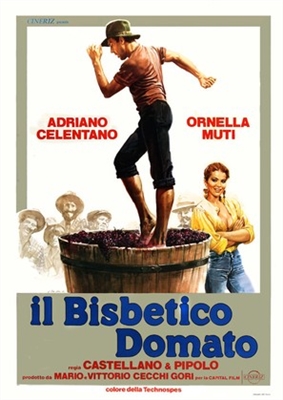 Il bisbetico domato  Poster with Hanger