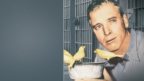 Birdman of Alcatraz tote bag #