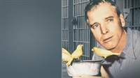 Birdman of Alcatraz Sweatshirt #1830856