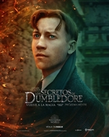 Fantastic Beasts: The Secrets of Dumbledore hoodie #1835408