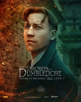 Fantastic Beasts: The Secrets of Dumbledore hoodie #1836020