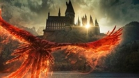 Fantastic Beasts: The Secrets of Dumbledore Longsleeve T-shirt #1837444