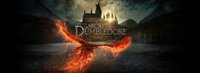 Fantastic Beasts: The Secrets of Dumbledore hoodie #1837445