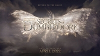 Fantastic Beasts: The Secrets of Dumbledore Tank Top #1838678