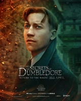 Fantastic Beasts: The Secrets of Dumbledore hoodie #1838947