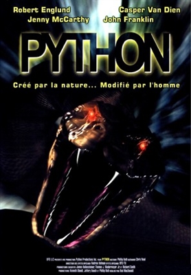 Python Canvas Poster