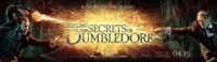 Fantastic Beasts: The Secrets of Dumbledore Longsleeve T-shirt #1841583