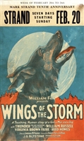 Wings of the Storm mug #