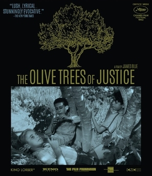 Les oliviers de la justice calendar