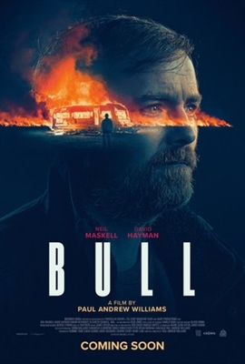 Bull Canvas Poster