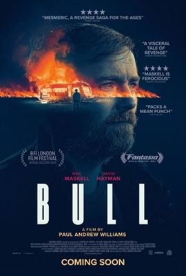 Bull Poster 1845503
