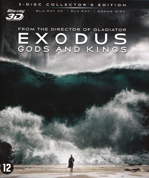 Exodus: Gods and Kings Wood Print
