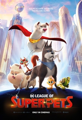 DC League of Super-Pets puzzle 1853236
