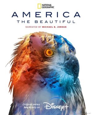 &quot;America the Beautiful&quot; poster