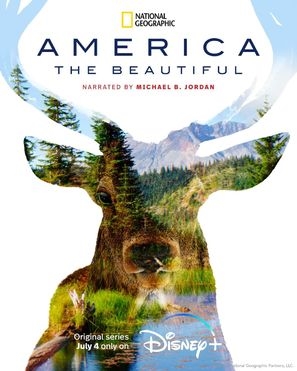 &quot;America the Beautiful&quot; poster