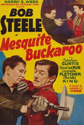 Mesquite Buckaroo poster