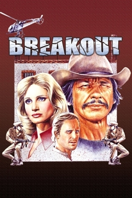 Breakout Metal Framed Poster