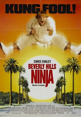 Beverly Hills Ninja Wooden Framed Poster