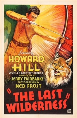 The Last Wilderness poster