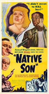 Native Son Metal Framed Poster