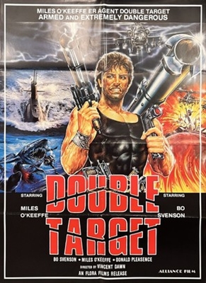Double Target Metal Framed Poster