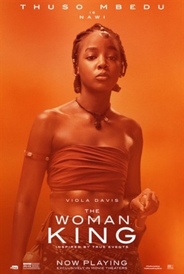 The Woman King Poster 1875883