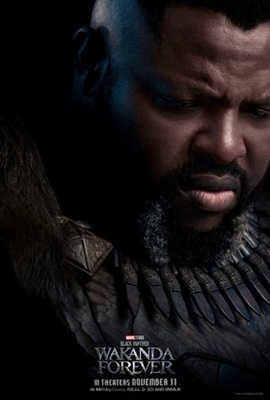 Black Panther: Wakanda Forever Poster 1878409
