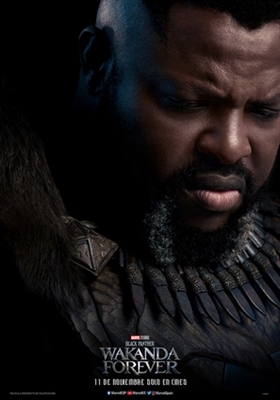 Black Panther: Wakanda Forever Poster 1878537