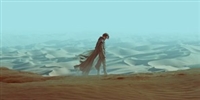 Dune tote bag #