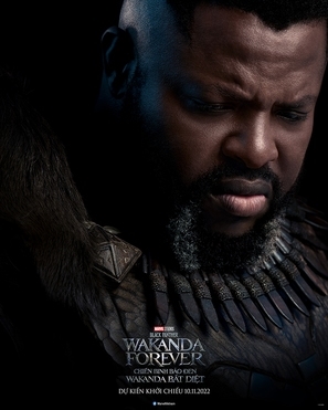 Black Panther: Wakanda Forever puzzle 1879284