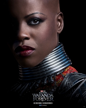 Black Panther: Wakanda Forever Poster 1879501