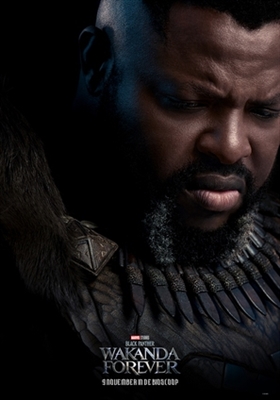 Black Panther: Wakanda Forever Poster 1879690