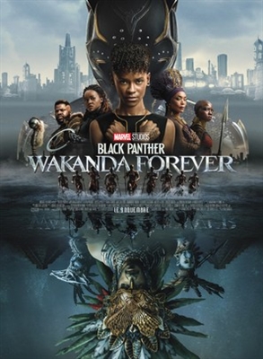 Black Panther: Wakanda Forever puzzle 1879885