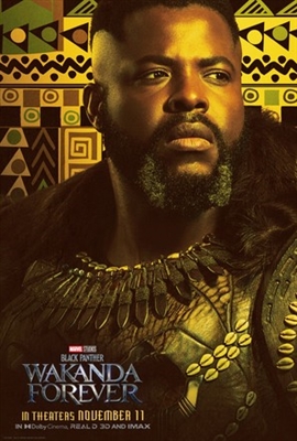 Black Panther: Wakanda Forever puzzle 1880037