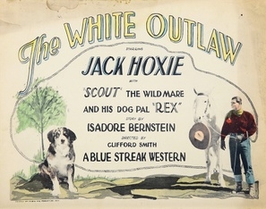 The White Outlaw poster