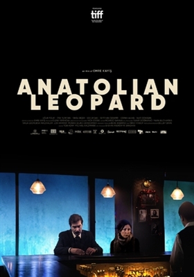 Anatolian Leopard Metal Framed Poster