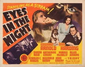 Eyes in the Night poster