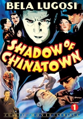 Shadow of Chinatown Canvas Poster