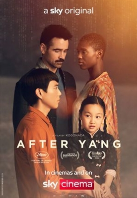 After Yang puzzle 1892406