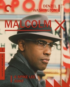 Malcolm X Poster 1893059